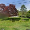 Tree blocking roadway near Five Points Road