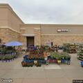 Loose chickens reported near Main Street store