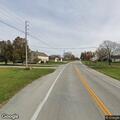 Loose farm animals on State Route 219