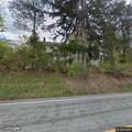 Tree and utility wires blocking Route 217 roadway