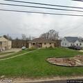 Dead deer blocking driveway on Coraopolis Road