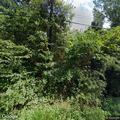 Brush fire and possible fall injury on Deer Lane