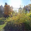 Verbal neighbor dispute on Harper Road