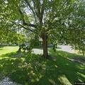 80-year-old male falls and hits head at home