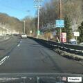 Injured deer blocking roadway on Route 8