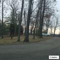 Open-line call with yelling at Loudonville hotel