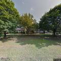 Tree blocking roadway on Oak Drive in Delaware Township