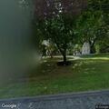 Tree limb knocks down power line on Milford Warren Glen Rd