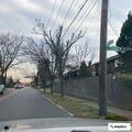 Box of fireworks burning at Cedarhurst intersection