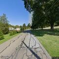 Tree on power lines on National Forge Road