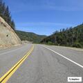 Truck hits deer on Highway (highway_number - do not mask), fuel leaking reported