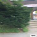 Carbon monoxide alarm reported on Hunt Lane