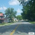 Loose dog reported at Fifth and Main in Harrod