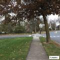 Erratic driving reported near Kent Place and Madison