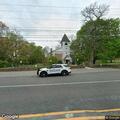 Loose dog creating traffic hazard near church