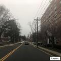 Fallen tree blocks field entrance on Valley Street
