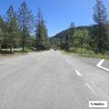 Tree partially blocking Highway 299 near Big Bar