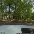 Large tree leaning on wires near Beacon Hill Road