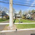 Raccoon reported in front yard on Elmwood Avenue