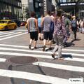 Traffic control causes 42nd Street closure