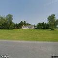 Loose dogs roaming South Dogwood Road area