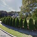 Smoke on parkway traced to landscaping equipment