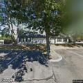 Loose dog in parking lot at Patchogue store