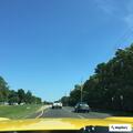 Car hits fallen tree near William Floyd and Linden