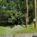 Tree blocking Old 209 Road in Schuylkill Township