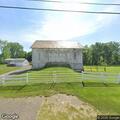 Loose cows in roadway and residential yard