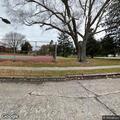 People yelling at cars in Perkins Park