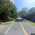 Dog running in roadway on South Country Road