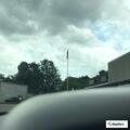 Dogs left in parked car on Amherst Road