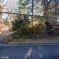 Fallen tree blocks lane on Caledonia Road
