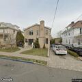 Loose brown dog reported on Washington Avenue