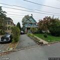 Loose dog reported on Chestnut Street