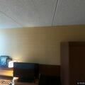 Hotel manager reports unwanted guests at Fairfield Inn