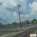 Storm damage with tree branches blocking road