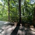 Male fell and suffered head injury in Syosset