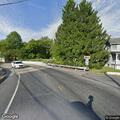Loose dog running near OW Road and Washington Blvd