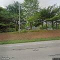 Loose dog reported near US Route 250 property