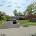 Loose dog reported on Woodland Road