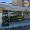 Dog without leash reported at Lake Grove store