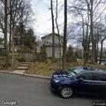 Officer to check tree leaning over street