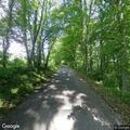 Tree blocking entire roadway on Haggerty Road