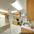 Unresponsive male in veterinary clinic with possible diabetes