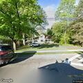Tree branch brings down utility wire on road