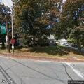 Worker injured by fallen tree with minor arm injury