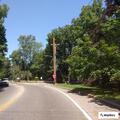 Tree blocking road on Bread and Cheese Hollow Road