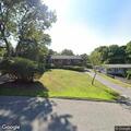 Loose dogs reported on property in Calverton